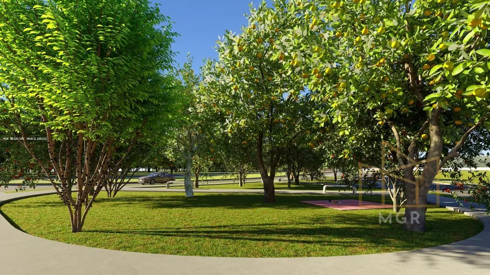 Terreno, 250 m² - Foto 8