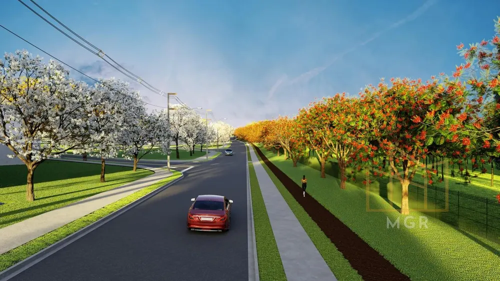 Terreno, 250 m² - Foto 4