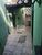 Casa, 3 quartos, 120 m² - Foto 6