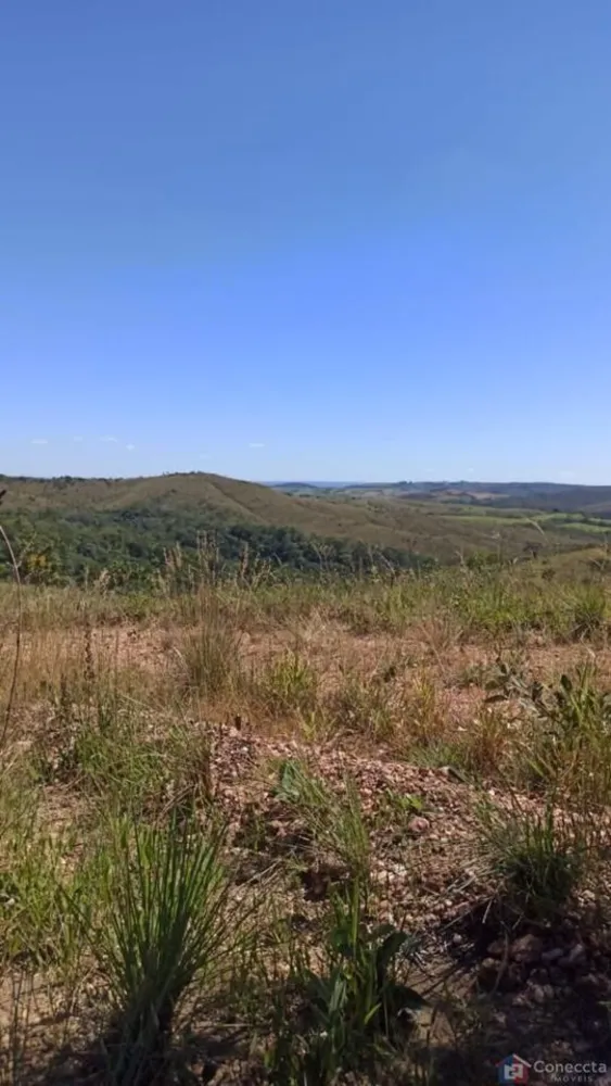 Fazenda, 303 hectares - Foto 11