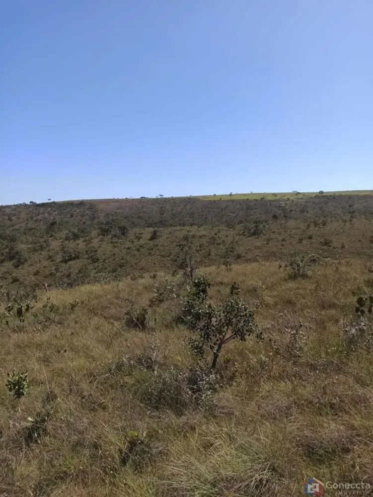 Fazenda, 303 hectares - Foto 2