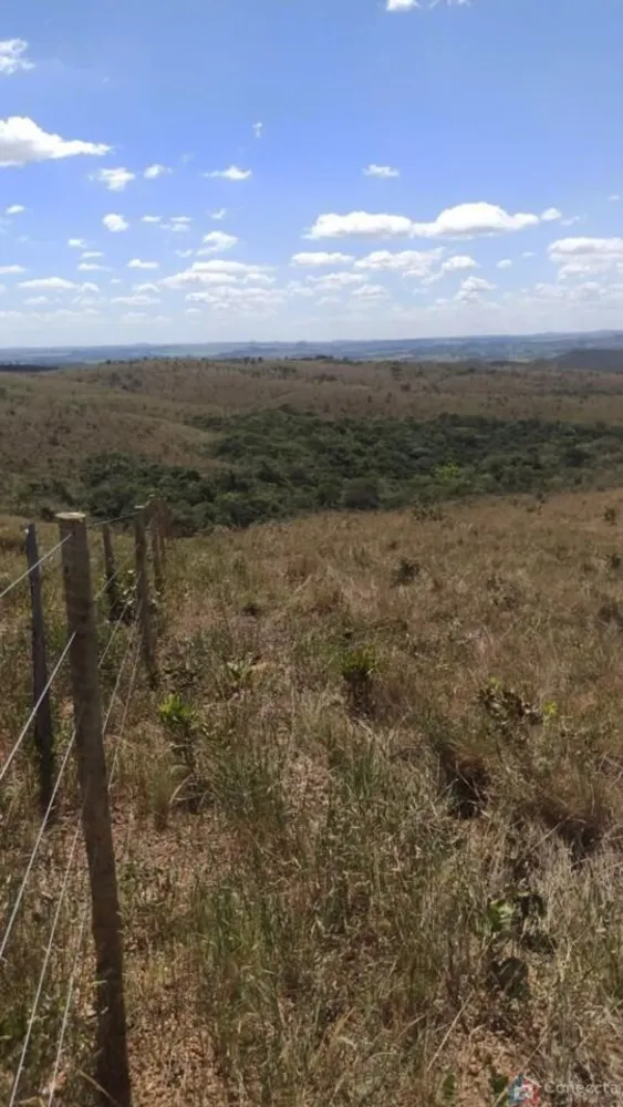 Fazenda, 303 hectares - Foto 4