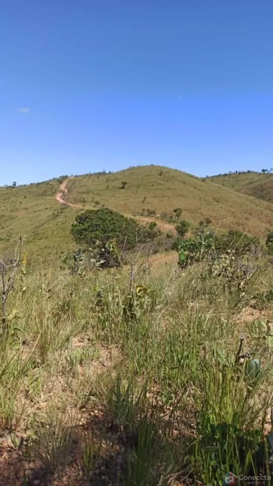 Fazenda, 303 hectares - Foto 1