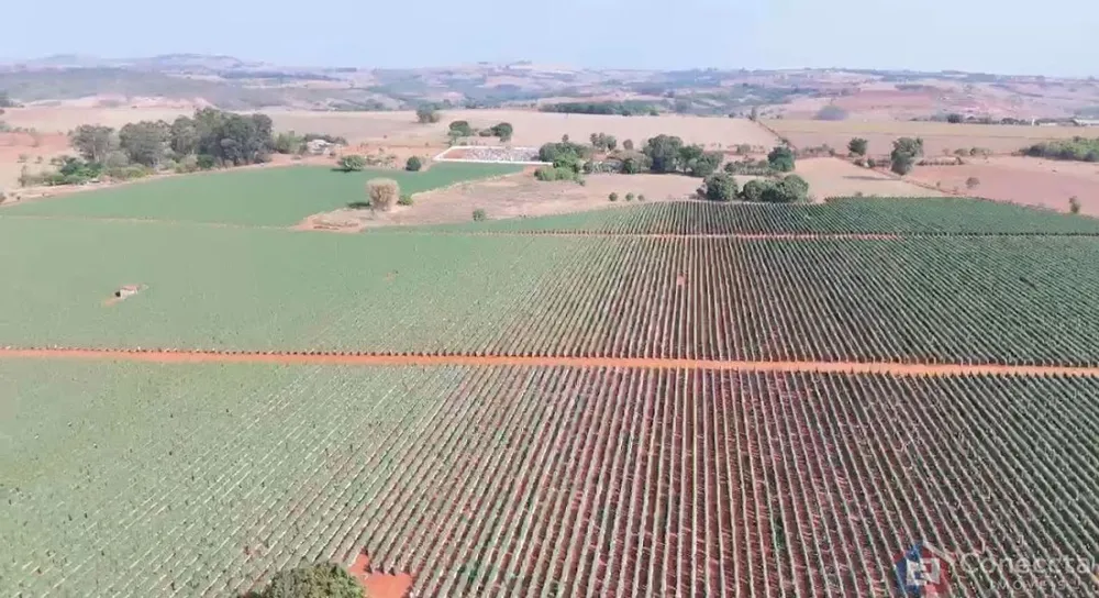 Fazenda, 46 hectares - Foto 2