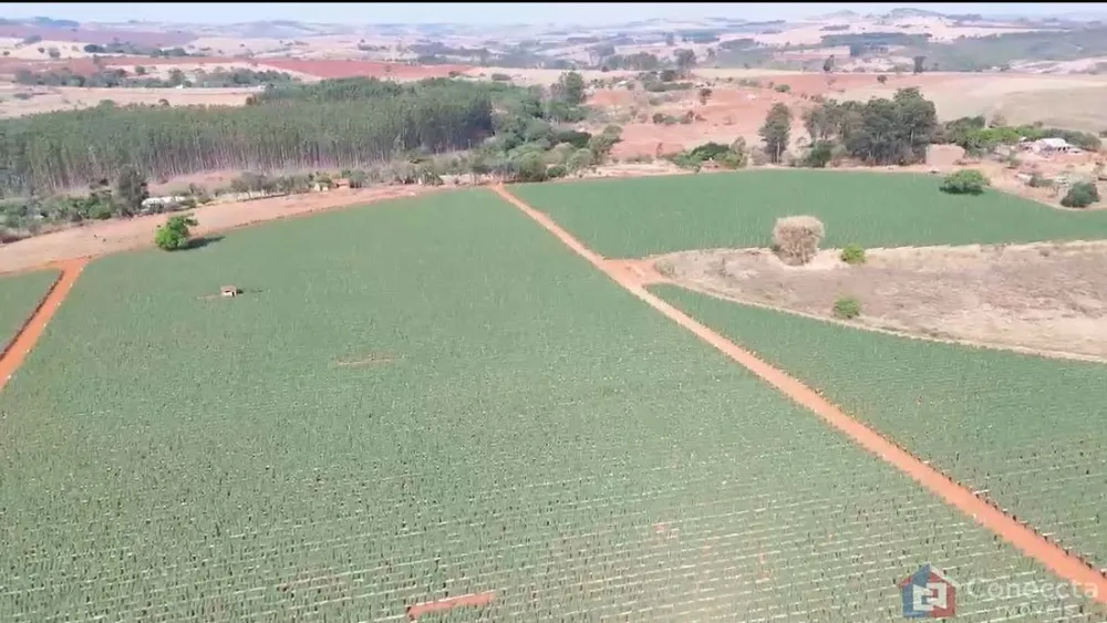 Fazenda, 46 hectares - Foto 4