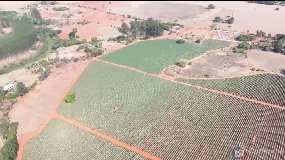 Fazenda, 46 hectares - Foto 6
