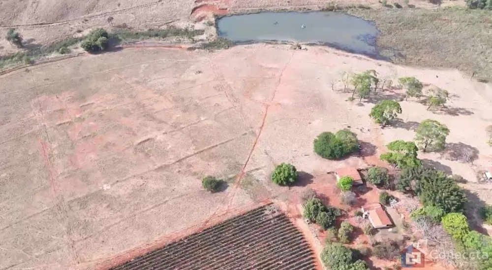 Fazenda, 46 hectares - Foto 7