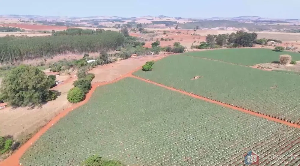 Fazenda, 46 hectares - Foto 1