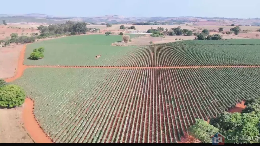 Fazenda, 46 hectares - Foto 3