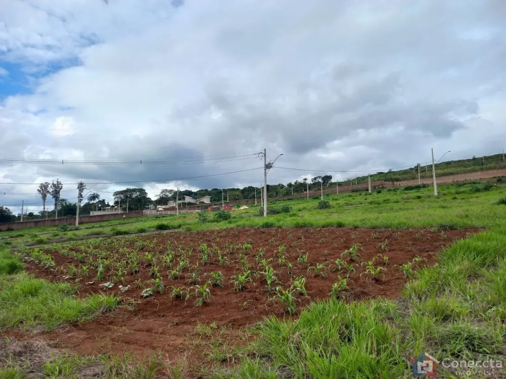 Loteamento e Condomínio, 364 m² - Foto 5