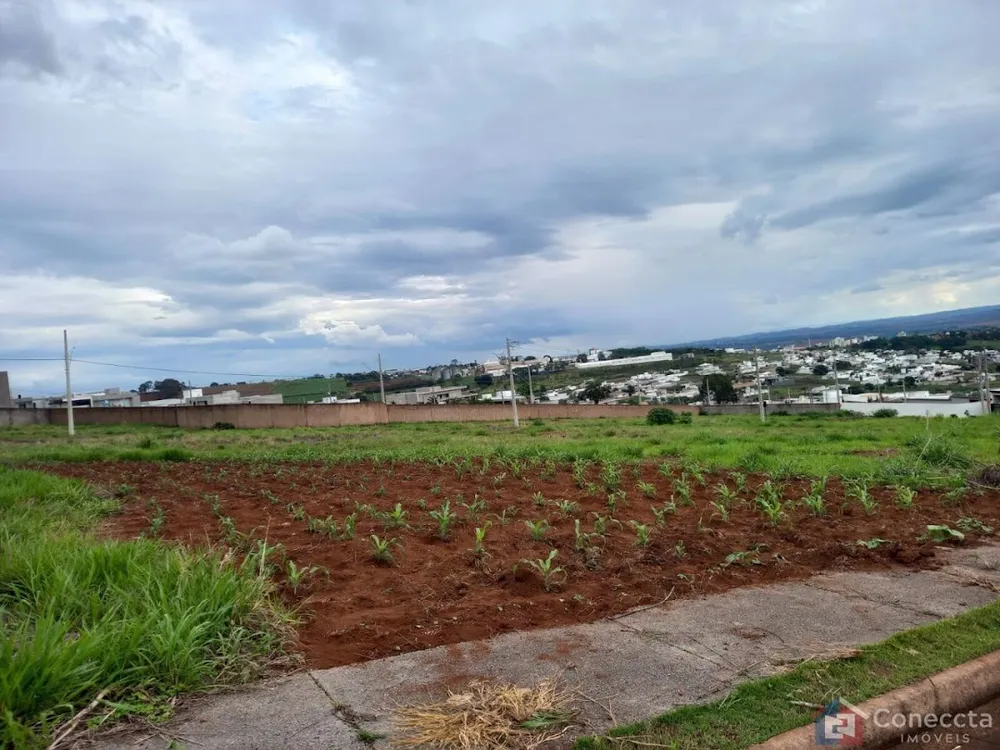 Loteamento e Condomínio, 364 m² - Foto 1
