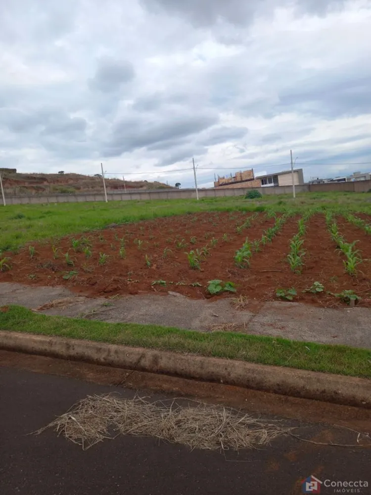 Loteamento e Condomínio, 364 m² - Foto 2