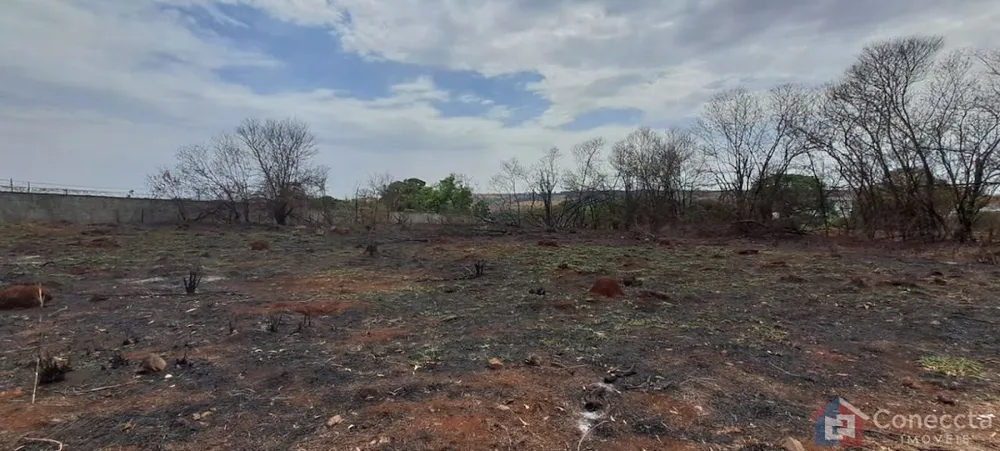 Terreno, 3000 m² - Foto 1