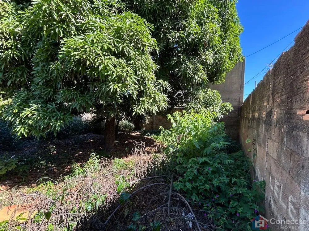 Terreno, 465 m² - Foto 3