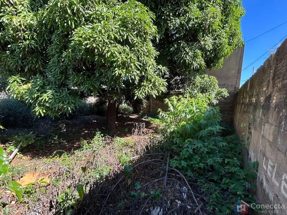 Terreno, 465 m² - Foto 6