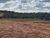 Fazenda, 808 hectares - Foto 4