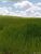 Fazenda, 808 hectares - Foto 1