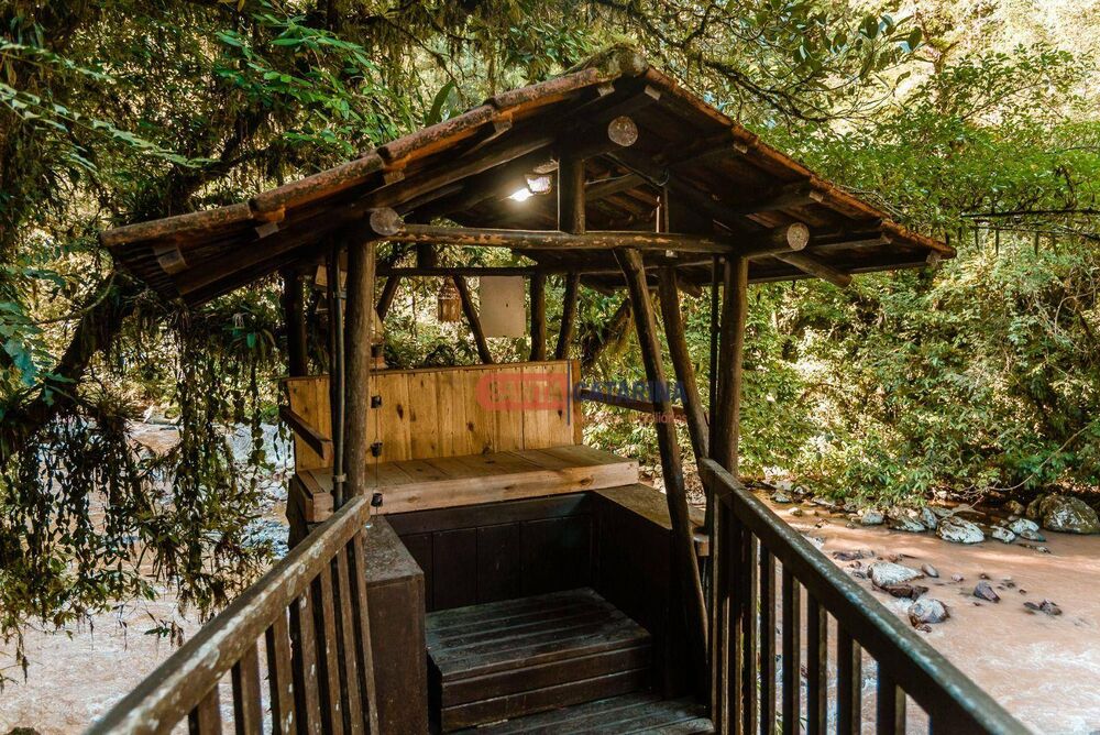 Chácara, 6 quartos, 29 hectares - Foto 4