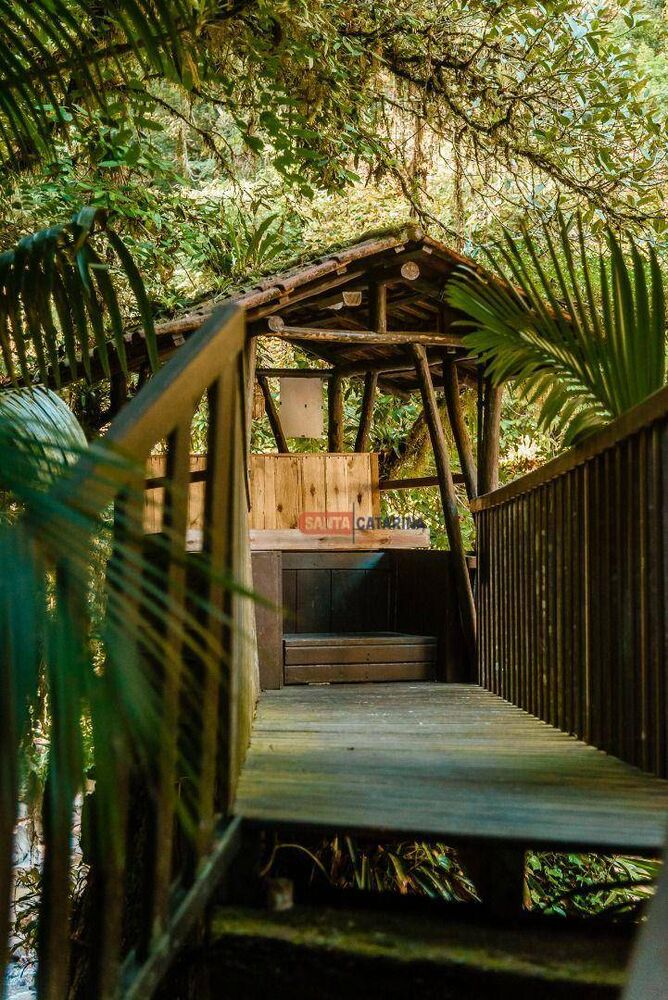 Chácara, 6 quartos, 29 hectares - Foto 3