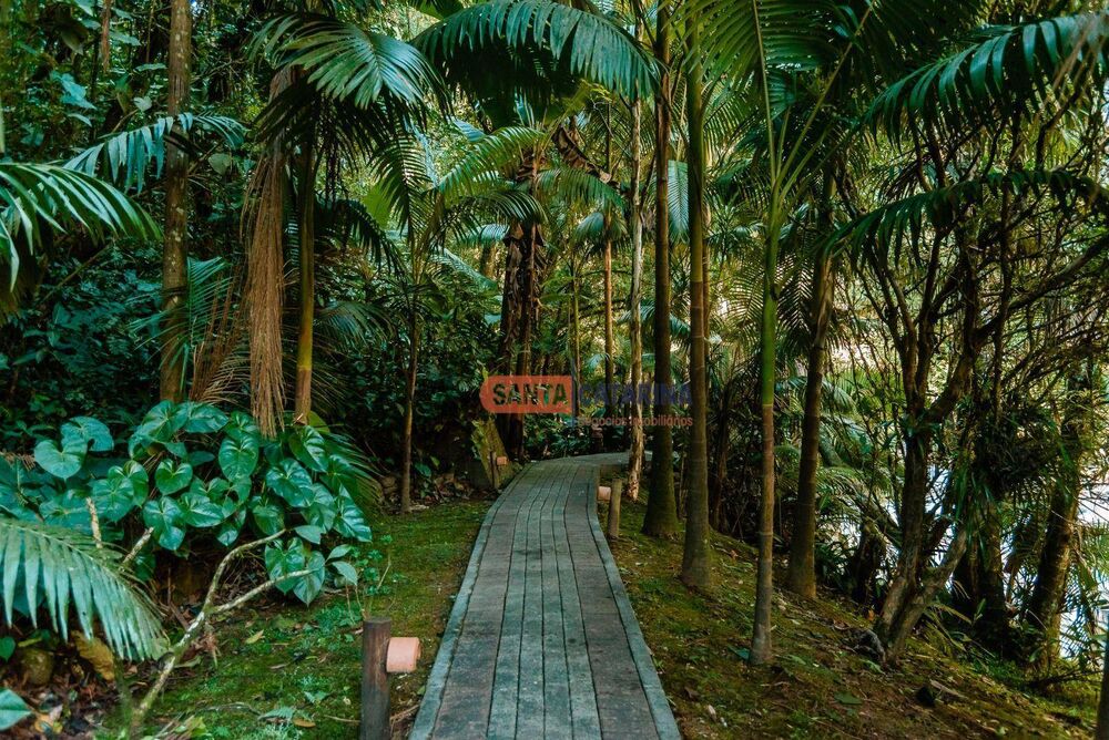 Chácara, 6 quartos, 29 hectares - Foto 1