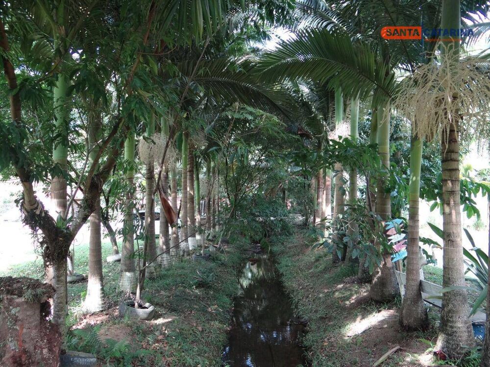 Chácara, 5928 m² - Foto 4