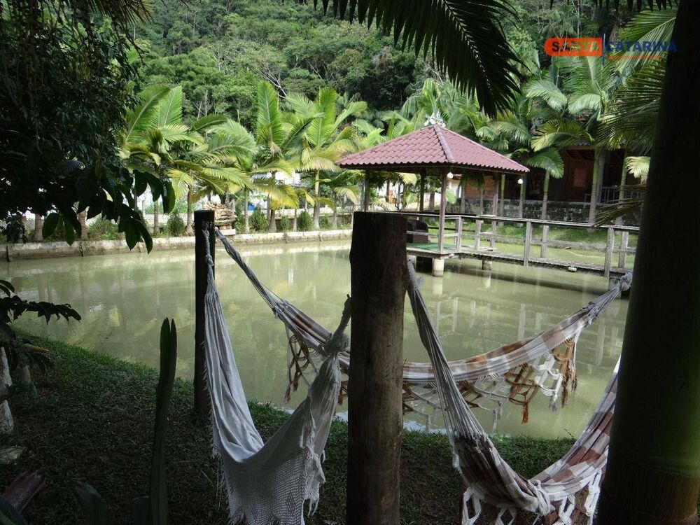 Chácara, 5928 m² - Foto 5