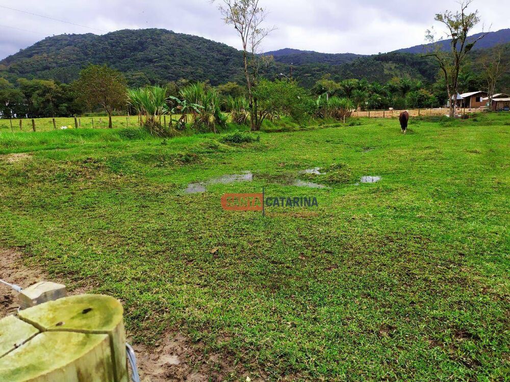 Terreno, 3268 m² - Foto 2