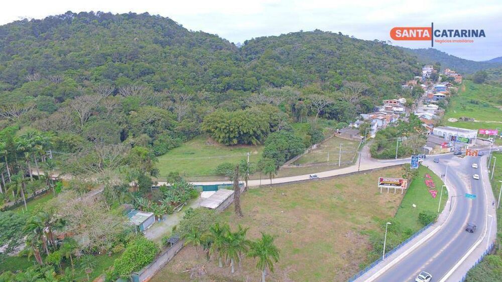 Terreno, 3 hectares - Foto 4