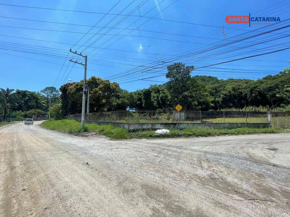 Terreno, 3 hectares - Foto 3