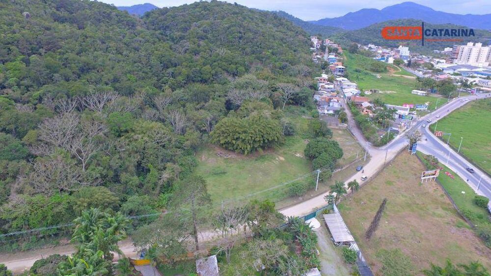 Terreno, 3 hectares - Foto 1