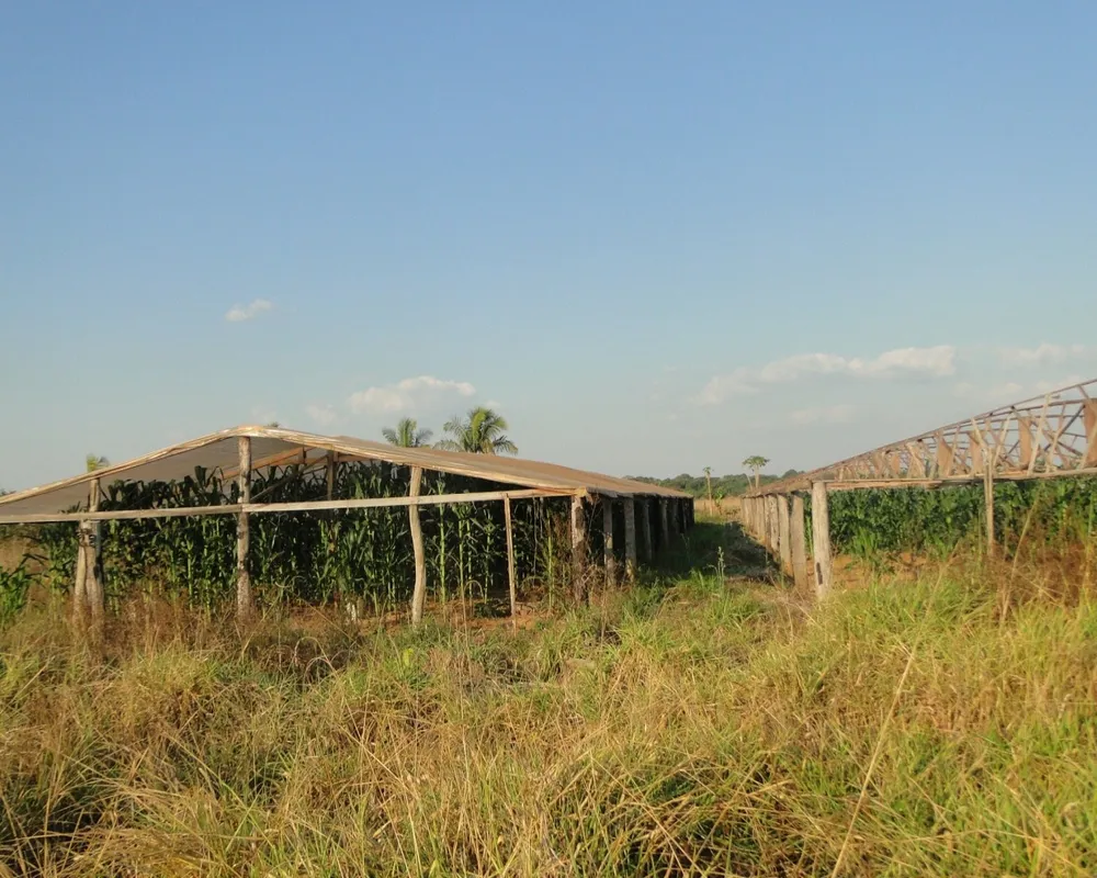 Chácara, 2 quartos - Foto 8