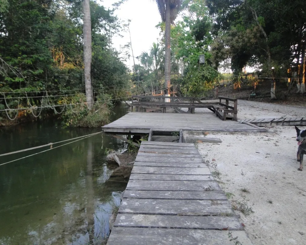 Chácara, 2 quartos - Foto 11