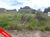 Terreno, 250 m² - Foto 1