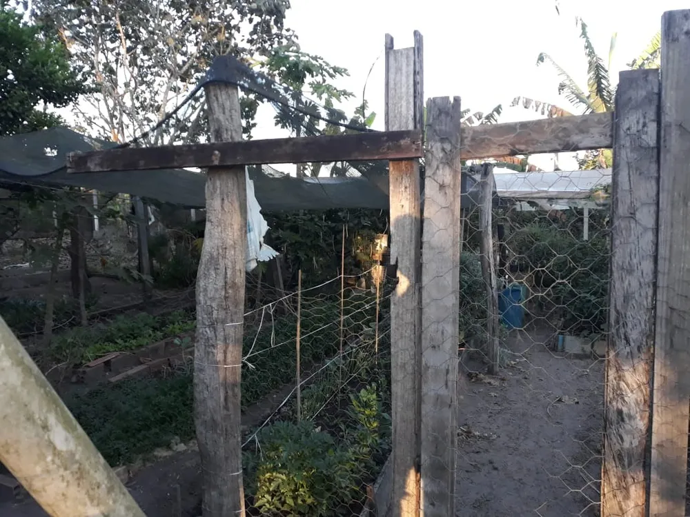 Chácara, 6 quartos - Foto 13