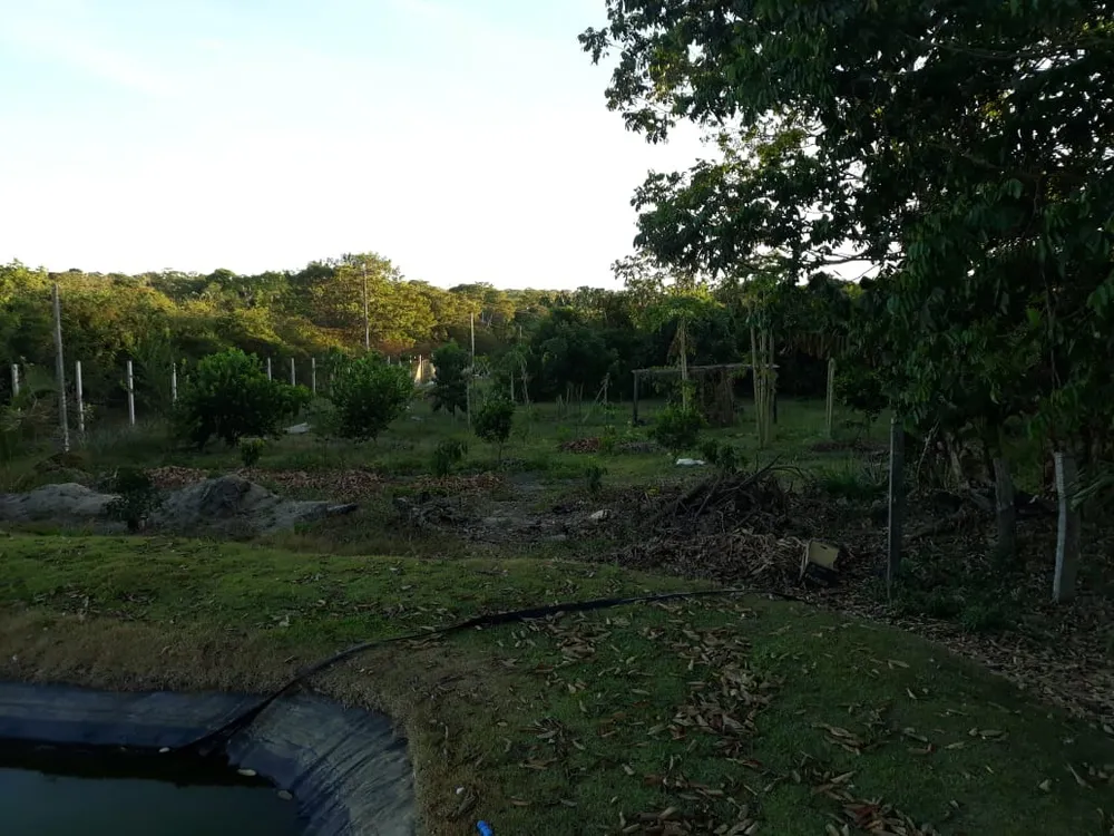 Chácara, 6 quartos - Foto 11