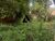 Terreno, 360 m² - Foto 5