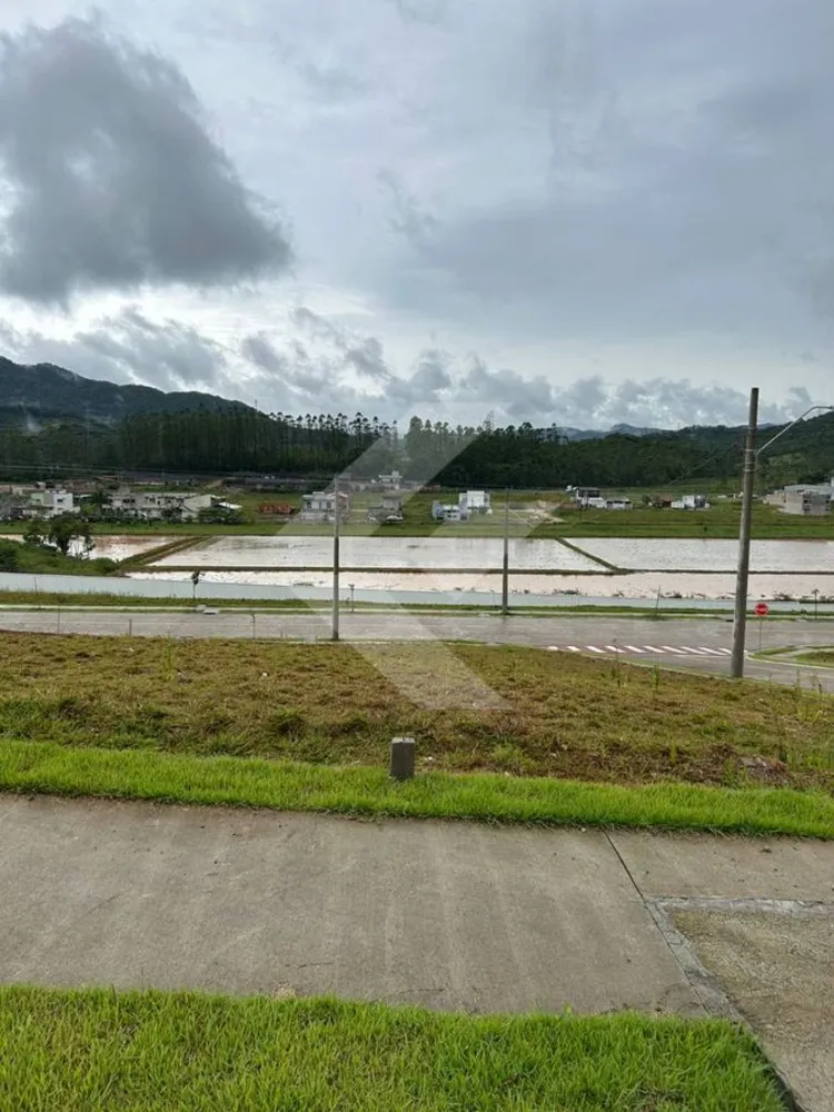 Terreno, 293 m² - Foto 1