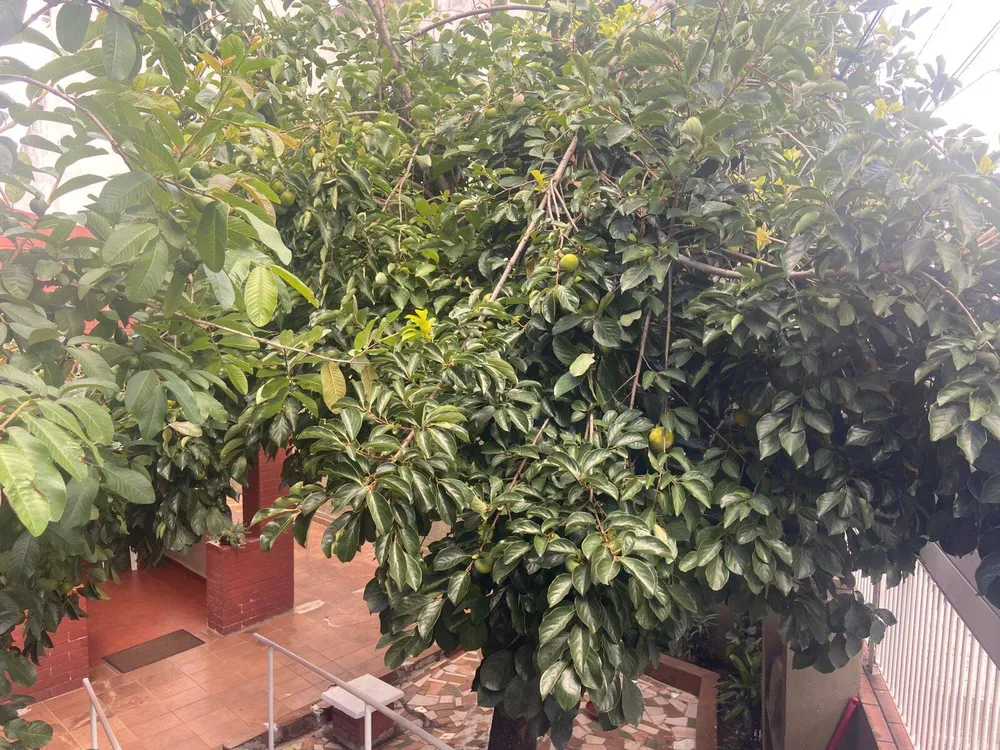 Casa, 3 quartos, 115 m² - Foto 11