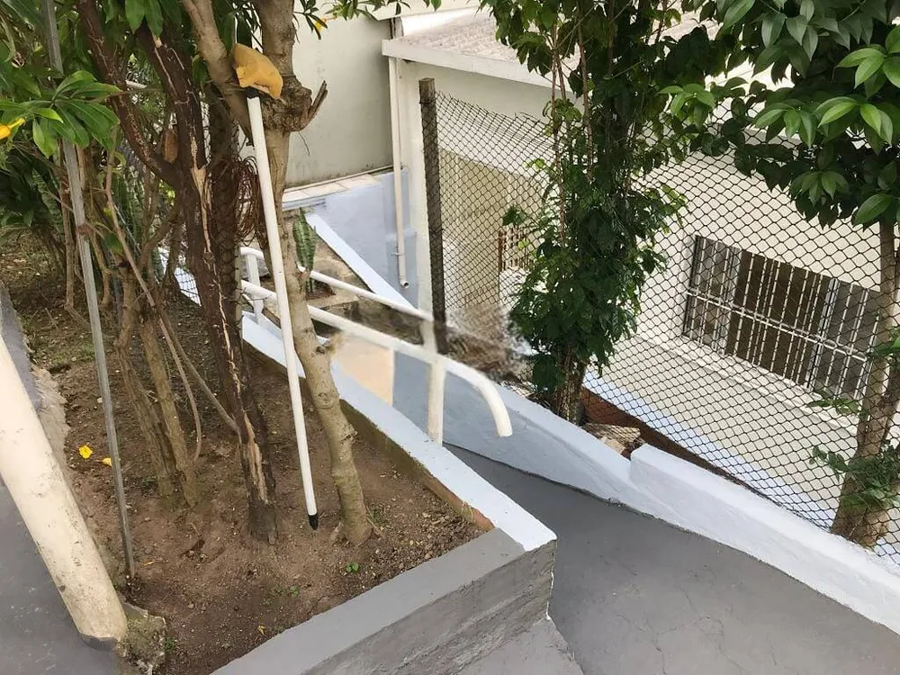 Casa, 5 quartos, 924 m² - Foto 4