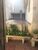 Terreno, 1040 m² - Foto 4