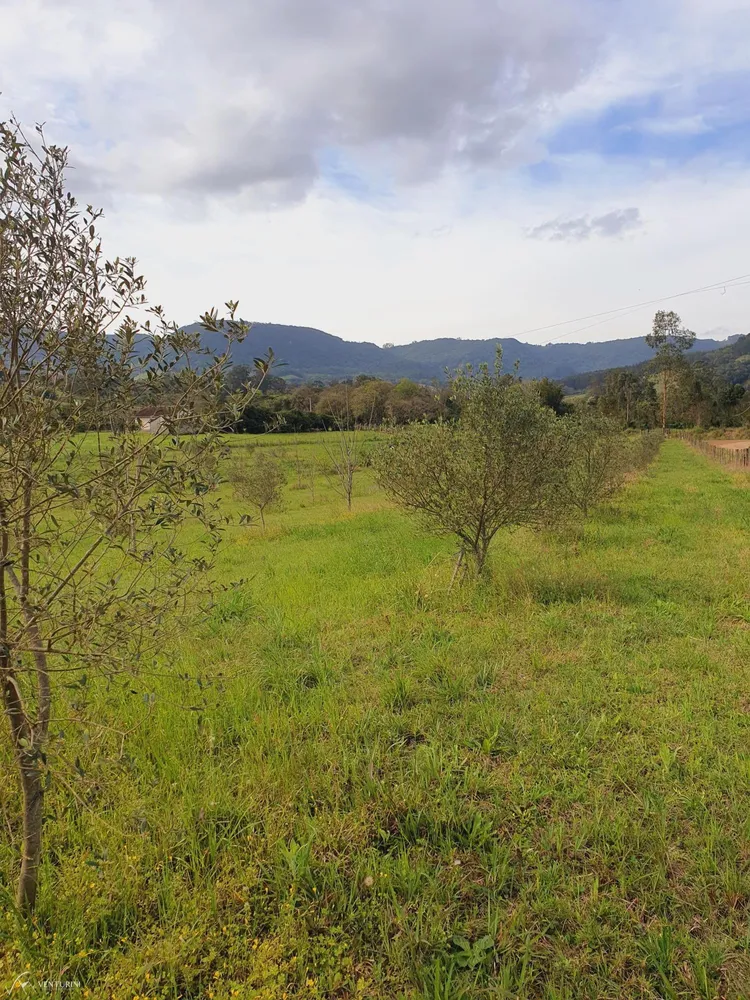 Chácara, 1 quarto, 2 hectares - Foto 4