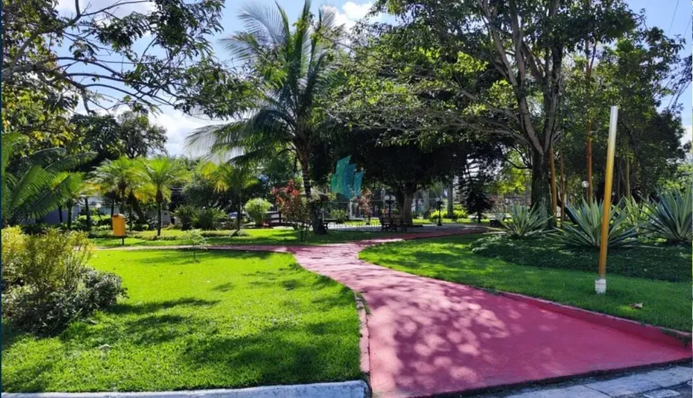 Casa, 4 quartos, 400 m² - Foto 40