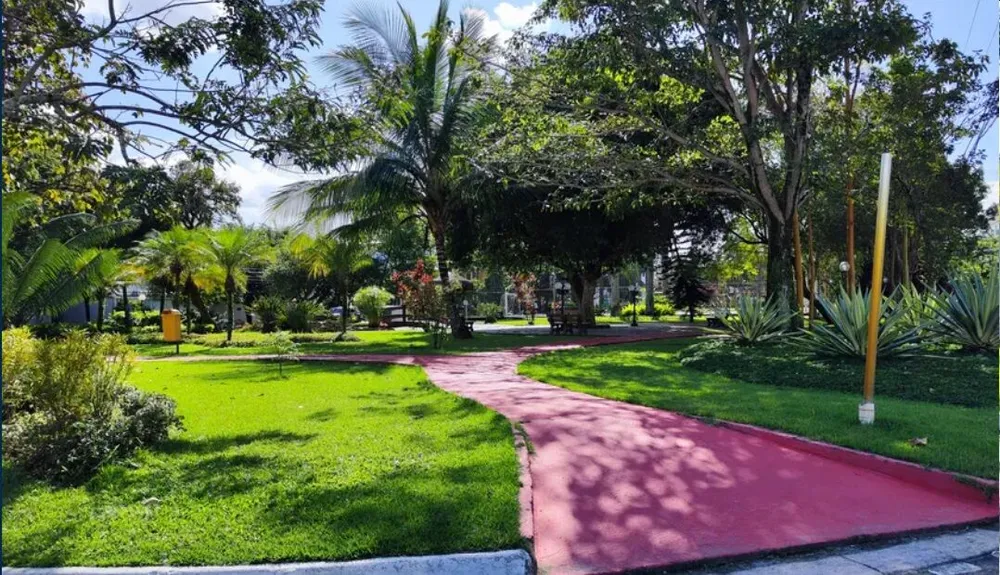 Casa, 4 quartos, 400 m² - Foto 41