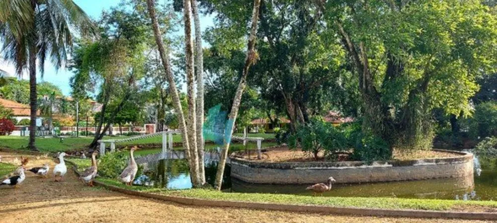 Casa, 3 quartos - Foto 60