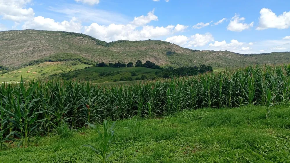 Fazenda, 44 m² - Foto 8