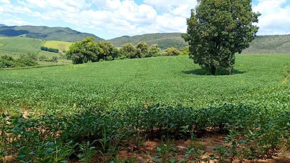 Fazenda, 44 m² - Foto 10