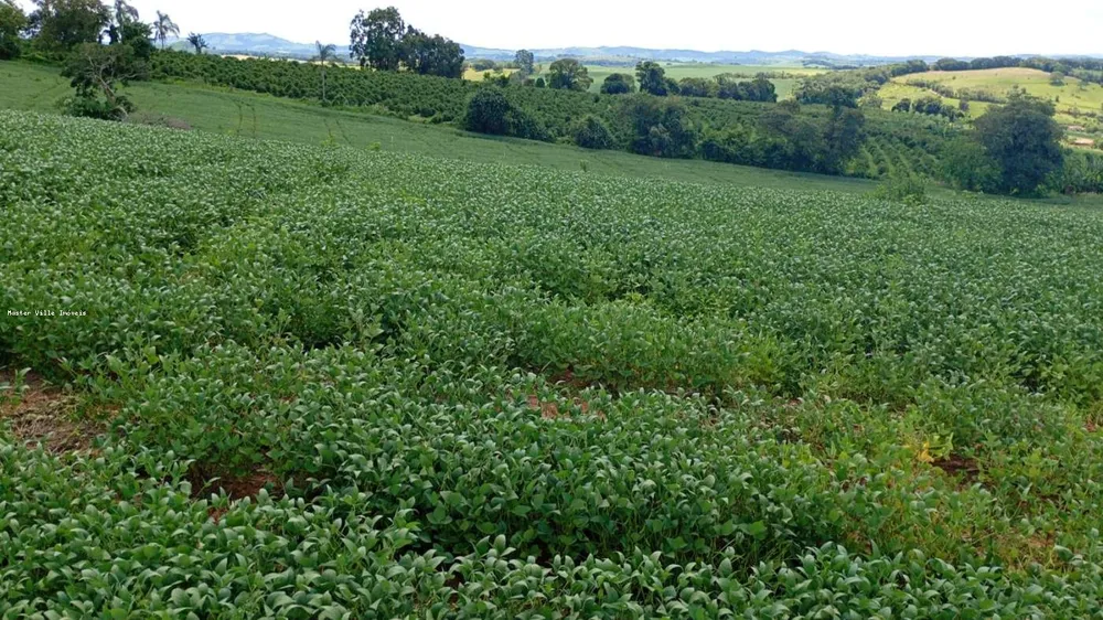 Fazenda, 44 m² - Foto 11