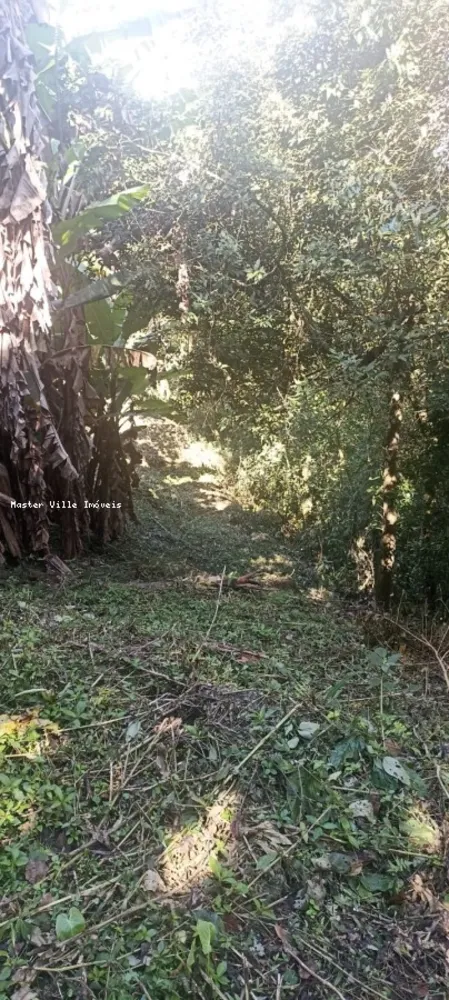 Terreno, 2 hectares - Foto 14