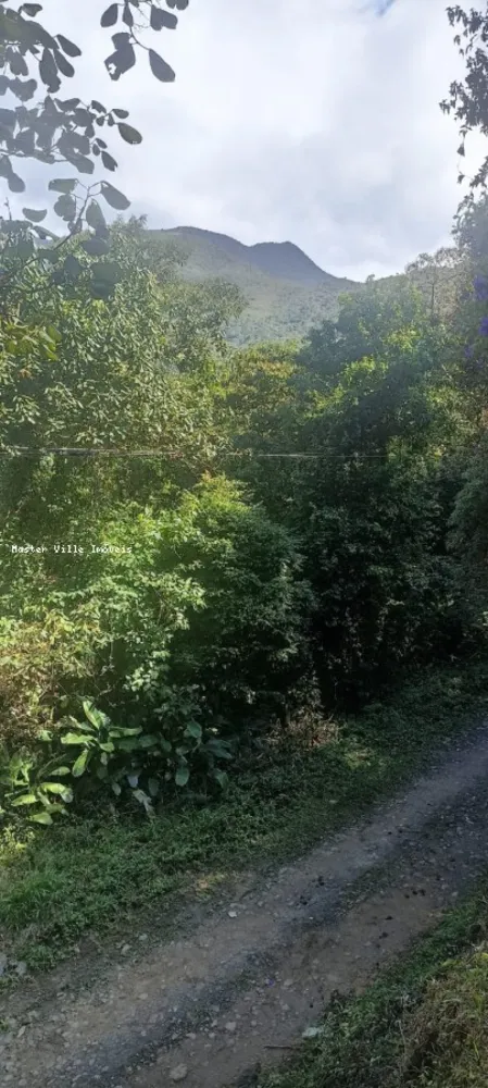 Terreno, 2 hectares - Foto 4