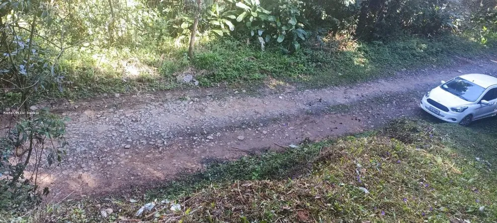 Terreno, 2 hectares - Foto 6